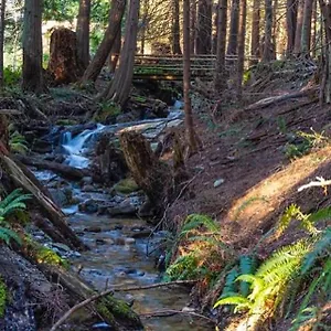 Forest Haven Hideaway Roberts Creek